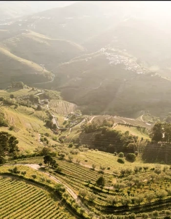 bodega alves de sousa