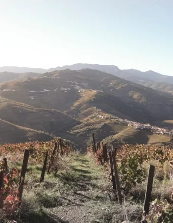 bodega alves de sousa