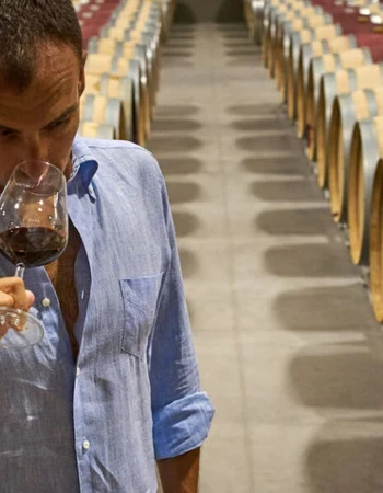 Bodega Cantine Spinelli