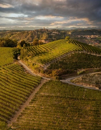 Bodega Poderi Gianni 