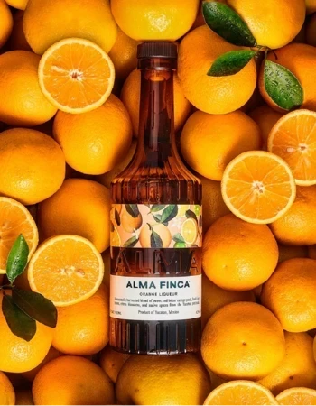 Gonzalez Byass Alma Finca Gonzalez Byass Alma Finca