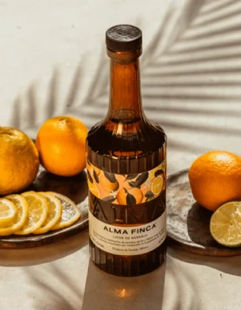 Gonzalez Byass Alma Finca Gonzalez Byass Alma Finca