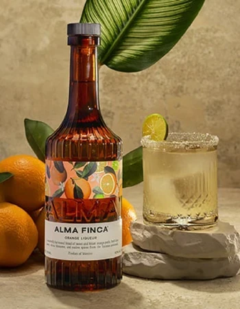 Gonzalez Byass Alma Finca Gonzalez Byass Alma Finca