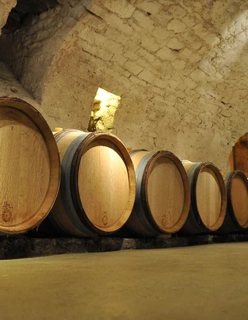 gonzalez-byass-usa-domaine-testut gonzalez-byass-usa-domaine-testut