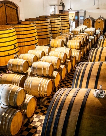 gonzalez-byass-usa-domaine-testut gonzalez-byass-usa-domaine-testut