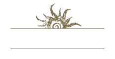 Logotipo Pazos de Lusco
