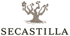 Logotipo Secastilla