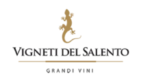 gonzalez-byass-usa-vigneti-del-salento-logo