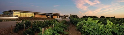 Bodega Beronia Rueda