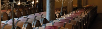 Bodega Blecua interior