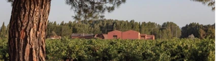 Bodega Dominio Fournier