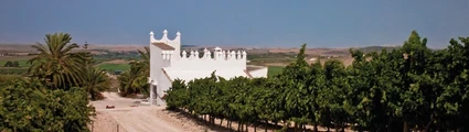 Bodega Finca Moncloa