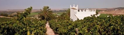 Bodega Finca Moncloa