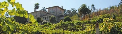 Imagen Bodega Pazos de Lusco