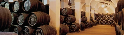 Imagen interior Bodega Tío Pepe Jerez