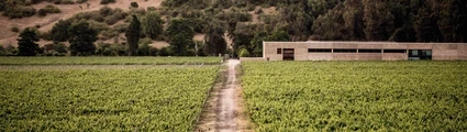 Bodega Veramonte