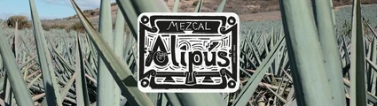 González Byass Alipus Mezcal