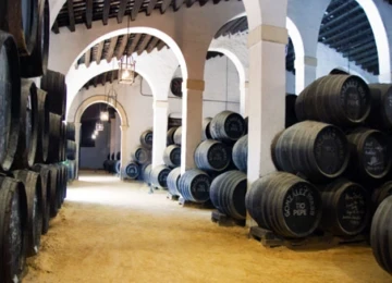 Bodegas Tio Pepe