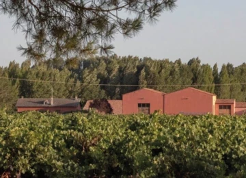 Bodega Dominio Fournier