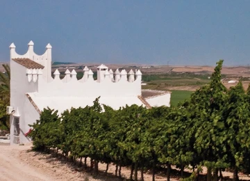 Bodega Finca Moncloa