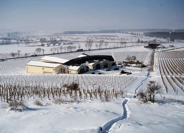 bodega disznoko tokaj