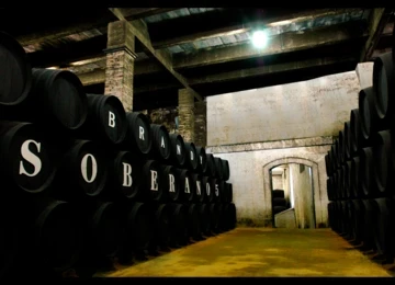 Bodega Soberano