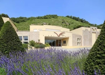 bodega vidal fleury