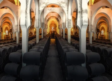 Bodega fundador