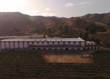 CASA PEDRO DOMECQ