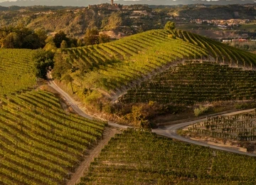 Bodega Poderi Gianni 