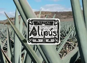 González Byass Alipus Mezcal
