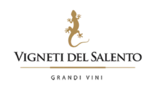 gonzalez-byass-usa-vigneti-del-salento-logo