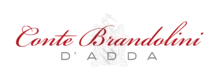 gonzalez-byas-usa-conte-brandolini-logo