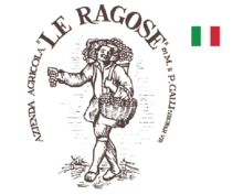 gonzalez-byass-usa-logo-leragose-italy-flag