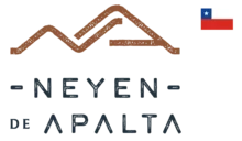 gonzalez-byass-usa-logo-neyen-chile-flag