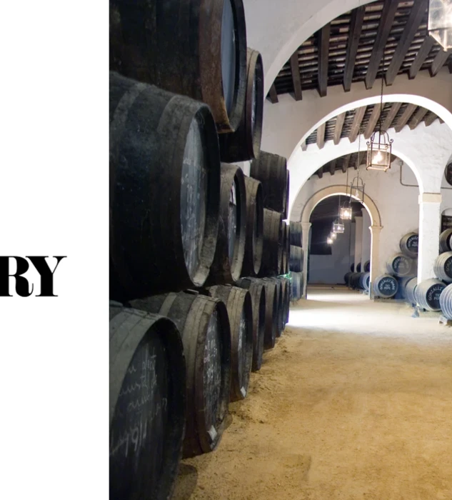 Jerez 50 Best for Recovery