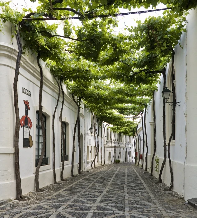 Calle Ciegos de Bodegas Tío Pepe