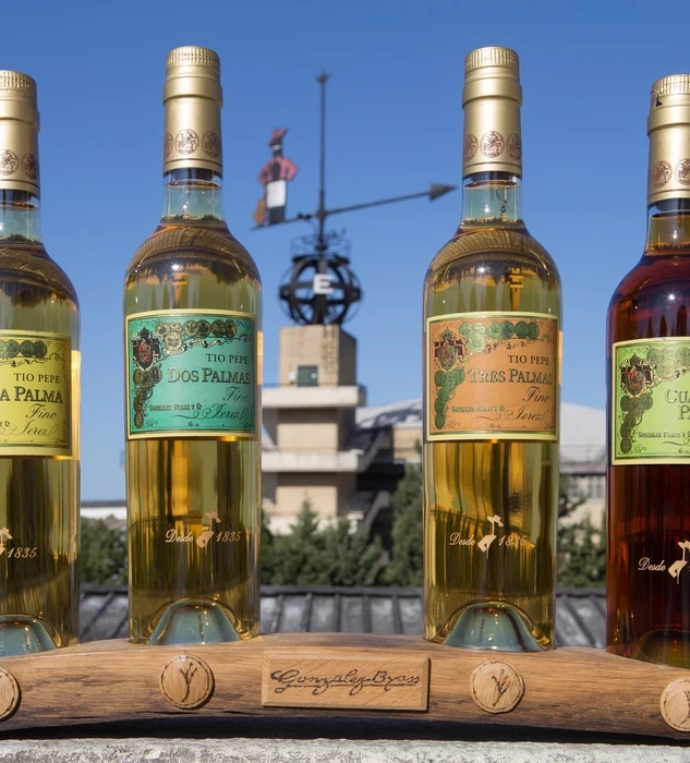 Colección Tío Pepe Finos Palmas