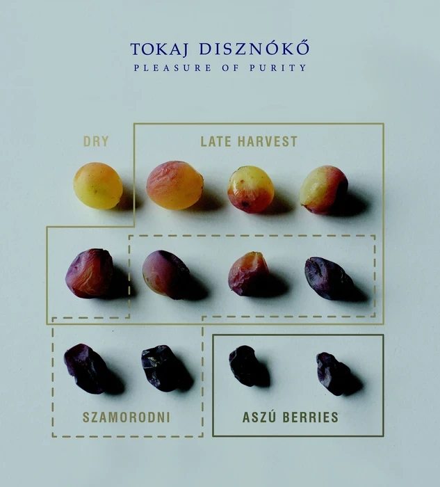 Tokaji grapes