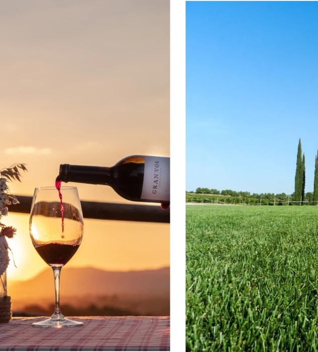 Enoturismo de vendimia