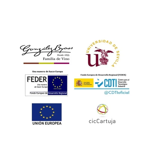 Investigación pionera en los vinos de Jerez