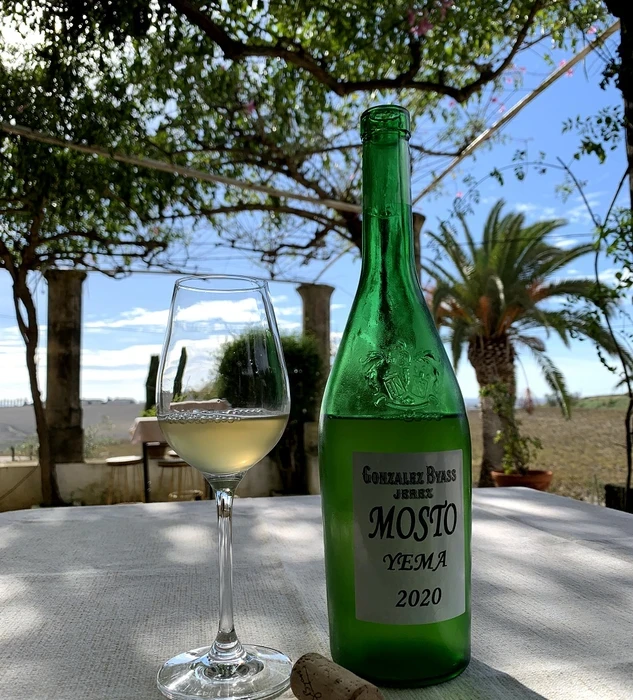 Primer mosto de Gonzalez Byass