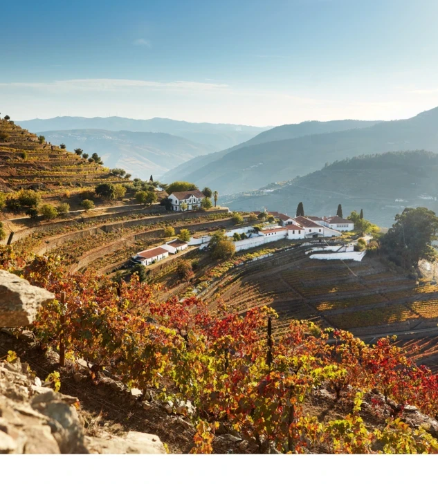 quinta do noval