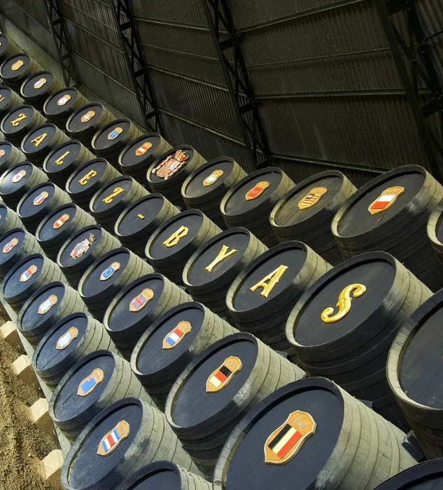 Imagen de la Real Bodega de La Concha en González Byass Jerez