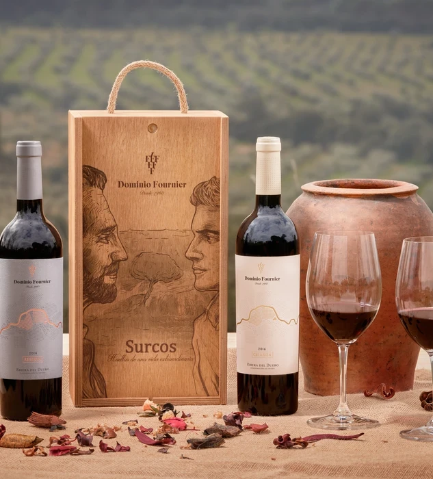 Surcos Dominio Fournier