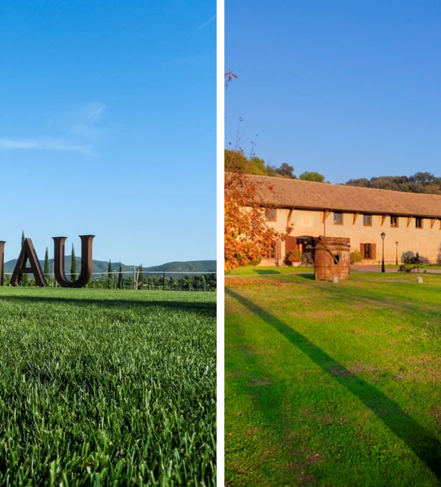 Viñas del Vero y Vilarnau