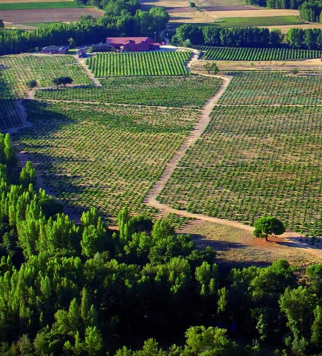 Vista aerea Dominio Fournier