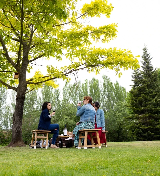 Wine garden en Viñas del Vero