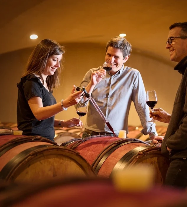 GonzalezByass UK, Vidal-Fleury
