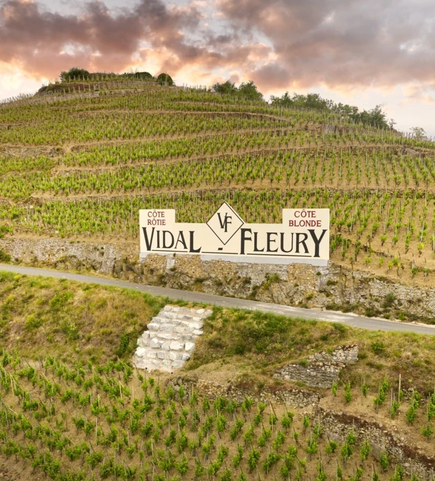 Vidal-Fleury